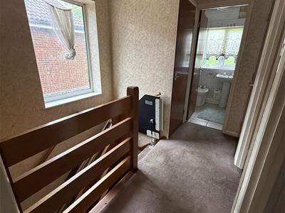 Picture 13
